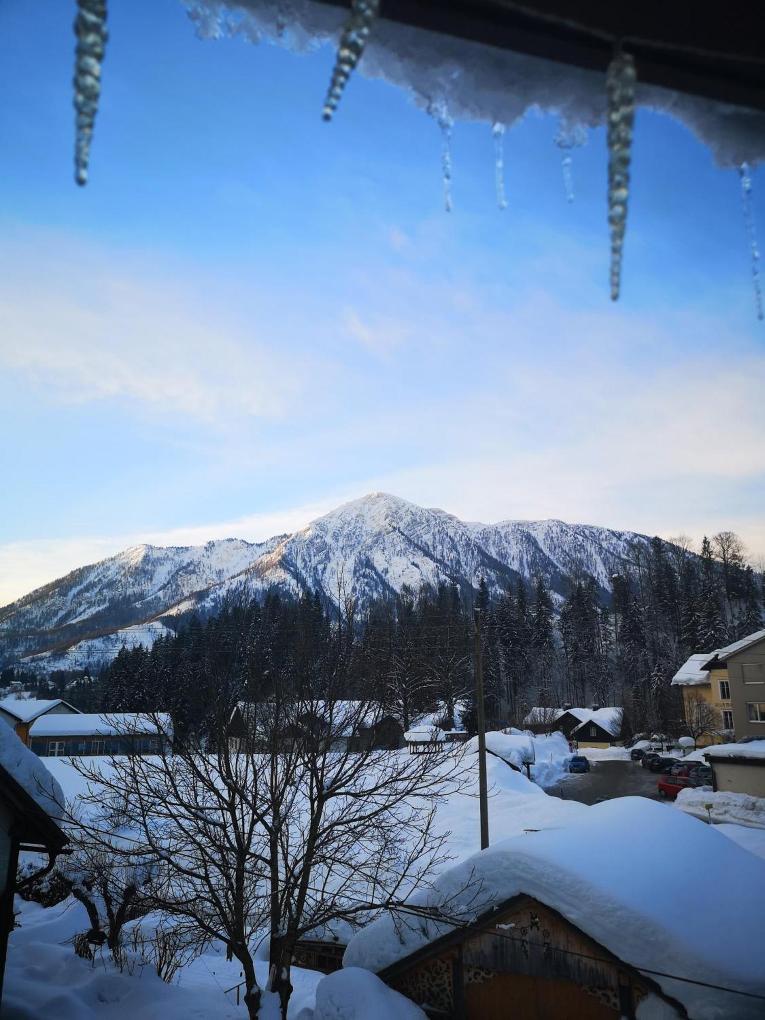 Apartment Ausseerland - Willkommen Bei Freunden Bad Aussee Exterior foto